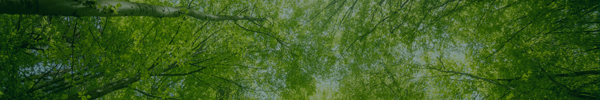 Licenses & Certificates